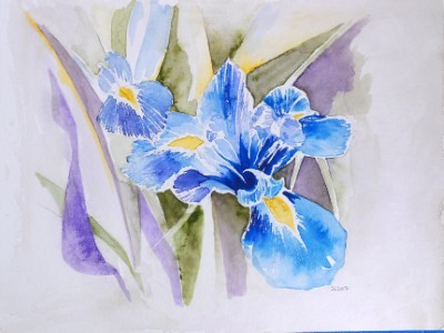 Aquarellbild einer abstrakten  Irisblüten in Blautönen